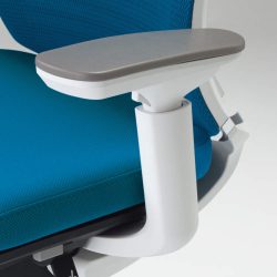 Bezel-Movable Arm