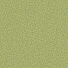 HSNQ1 White Green